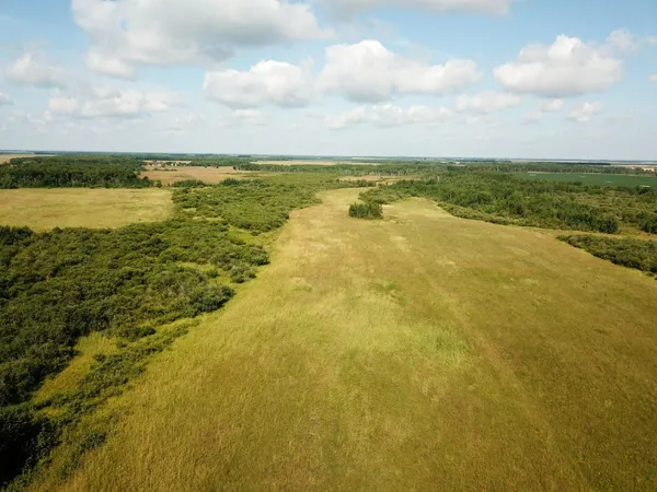 $315,000 | Tbd 220th Street, Badger, MN 56714