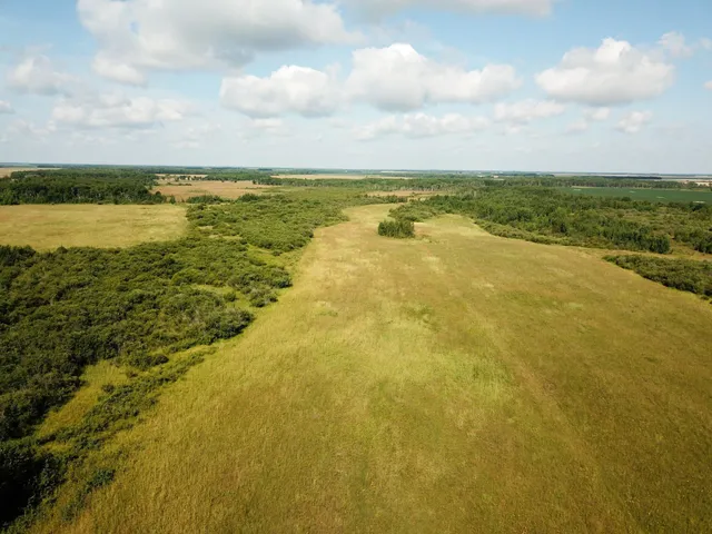 $315,000 | Tbd 220th Street, Badger, MN 56714