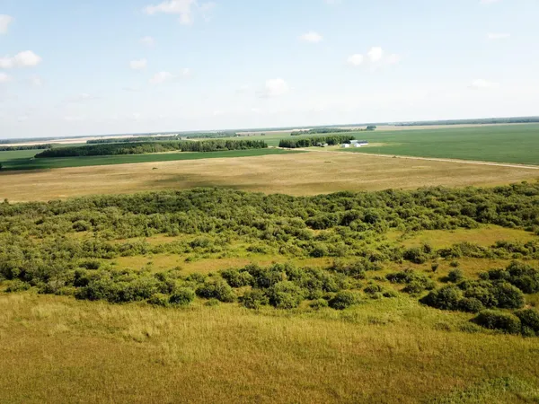 $315,000 | Tbd 220th Street, Badger, MN 56714