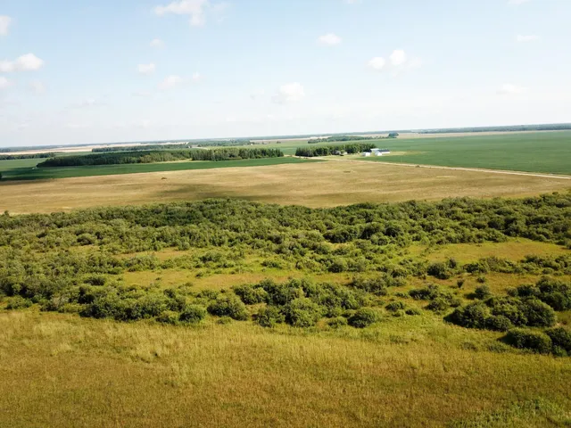 $315,000 | Tbd 220th Street, Badger, MN 56714