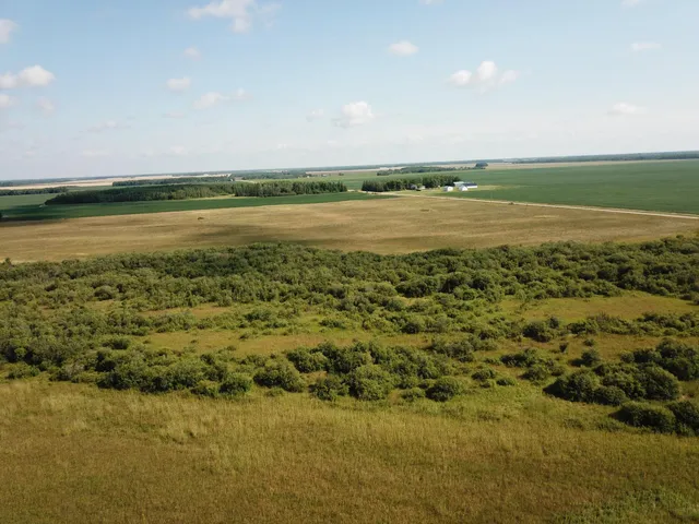 $315,000 | Tbd Tbd 220th Avenue, Badger, MN 56714