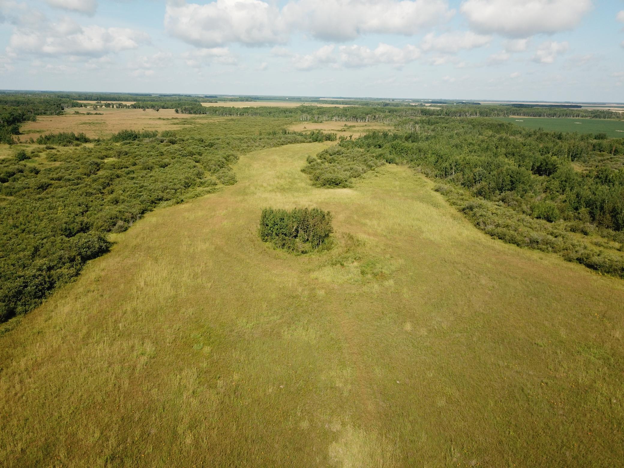 Tbd Tbd 220th Avenue Badger, MN 56714 - Photo 9 of 55