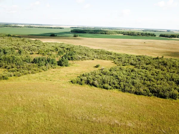 $315,000 | Tbd 220th Street, Badger, MN 56714