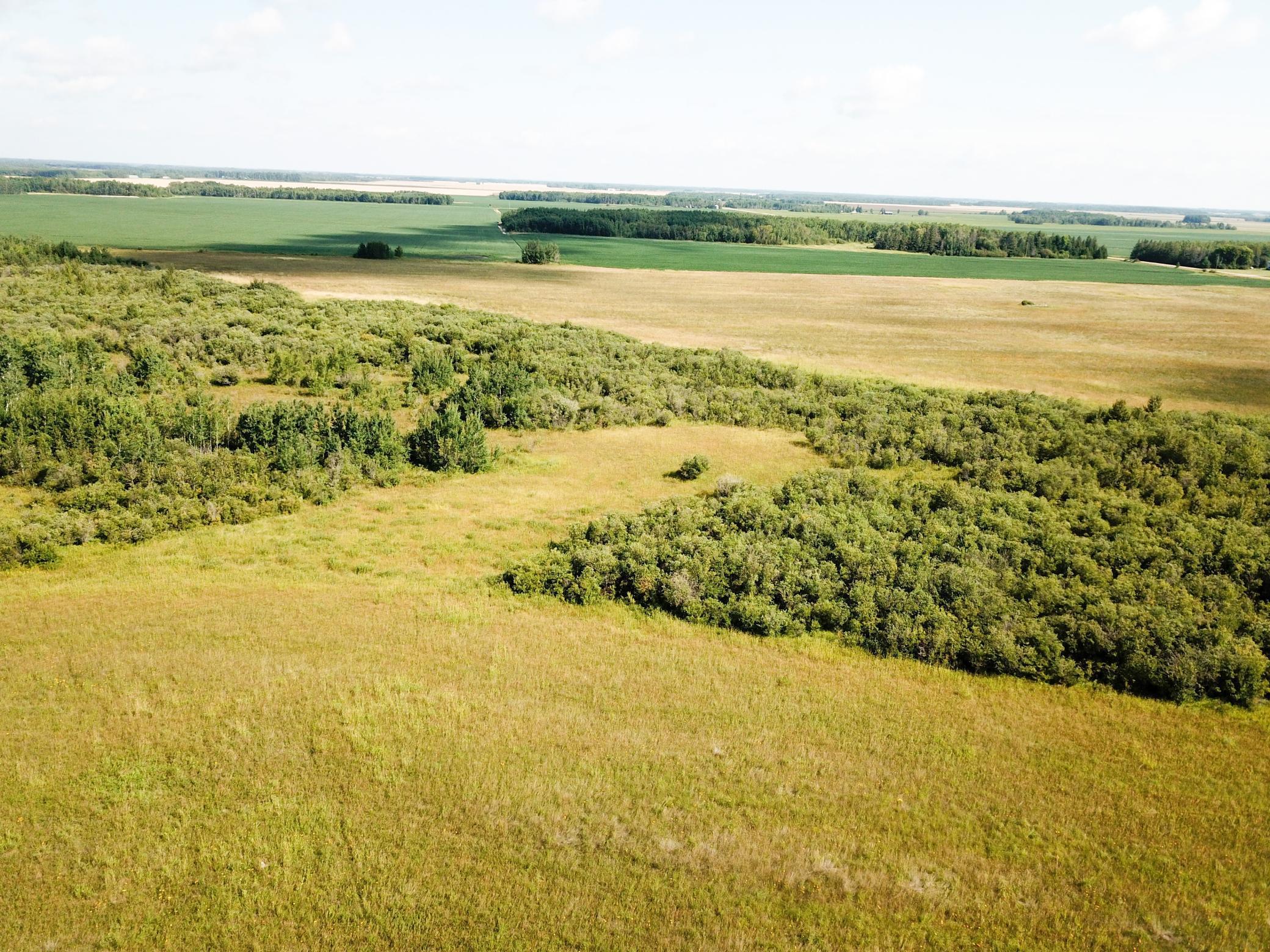 Tbd 220th Street Badger, MN 56714 - Photo 10 of 57
