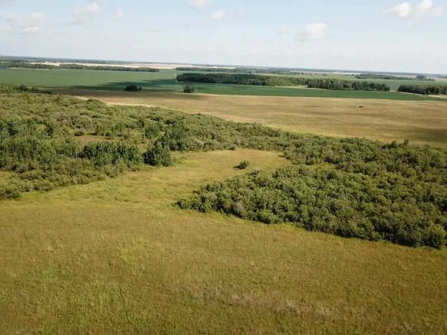 $315,000 | Tbd Tbd 220th Avenue, Badger, MN 56714