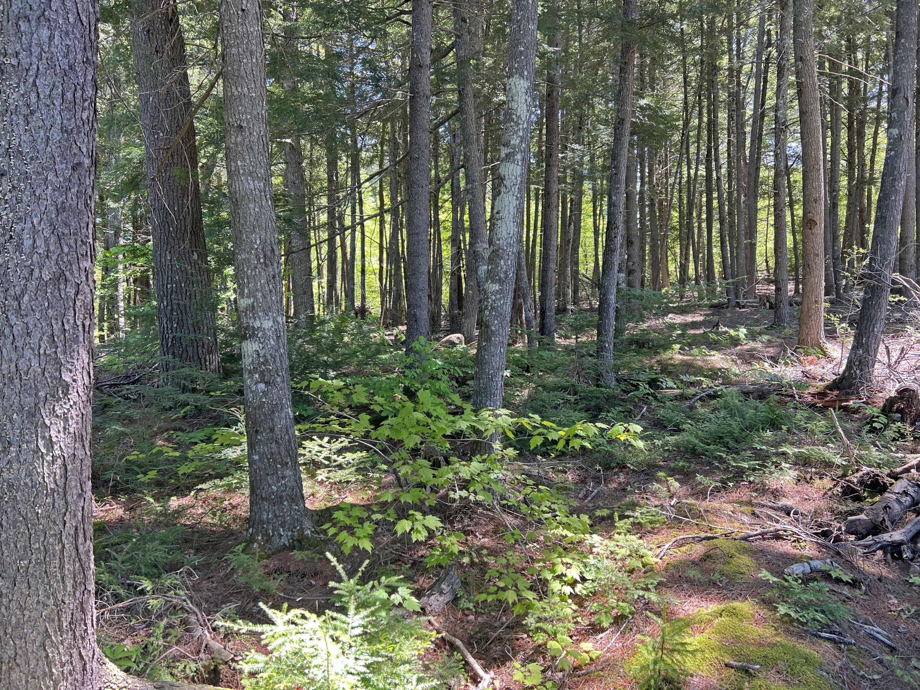861 West Shore Road Otis, ME 04605 - Photo 25 of 27 3e