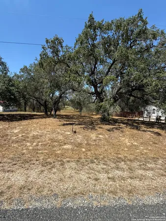 a view of yard