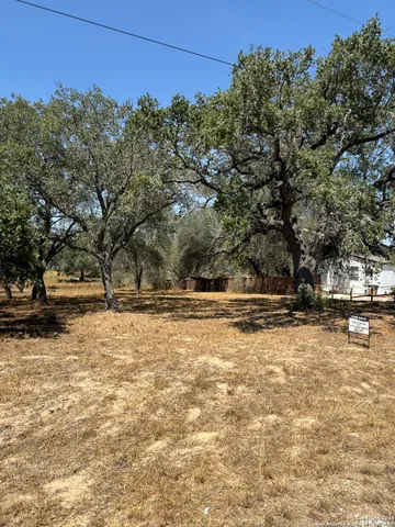 a view of yard with tree