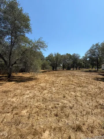 a view of a yard with trees