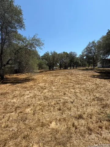 a view of outdoor space with trees