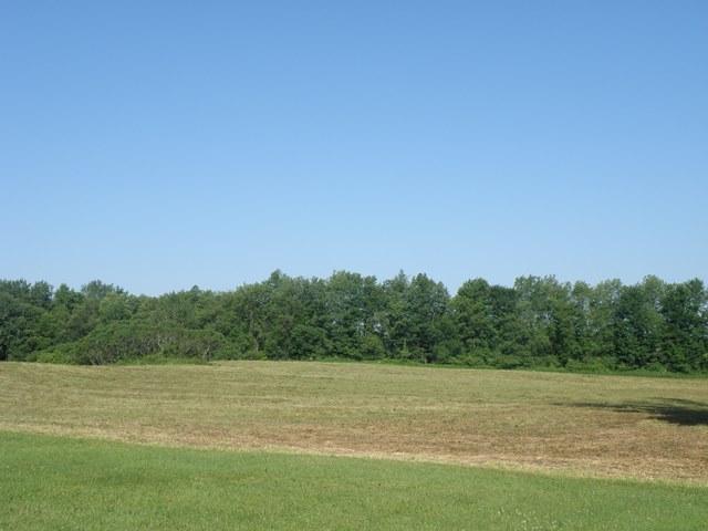 Land/Lot.