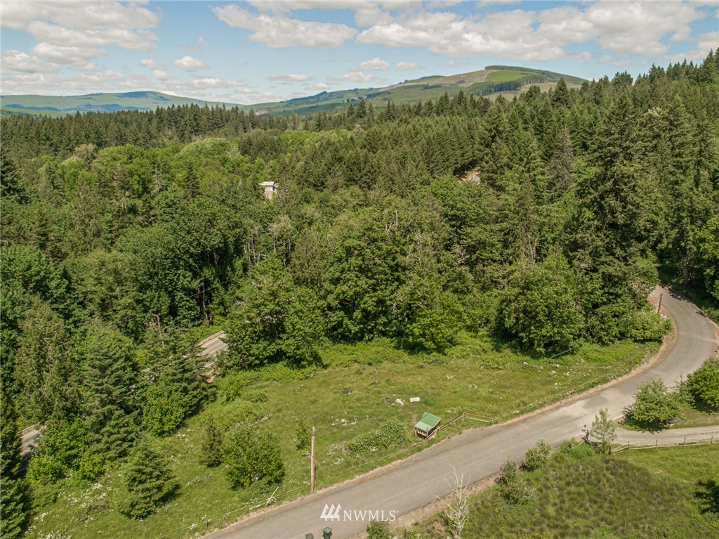 0 Rose Valley Loop Road Kelso, WA 98626 - Photo 1 of 10 Gallery Image 1