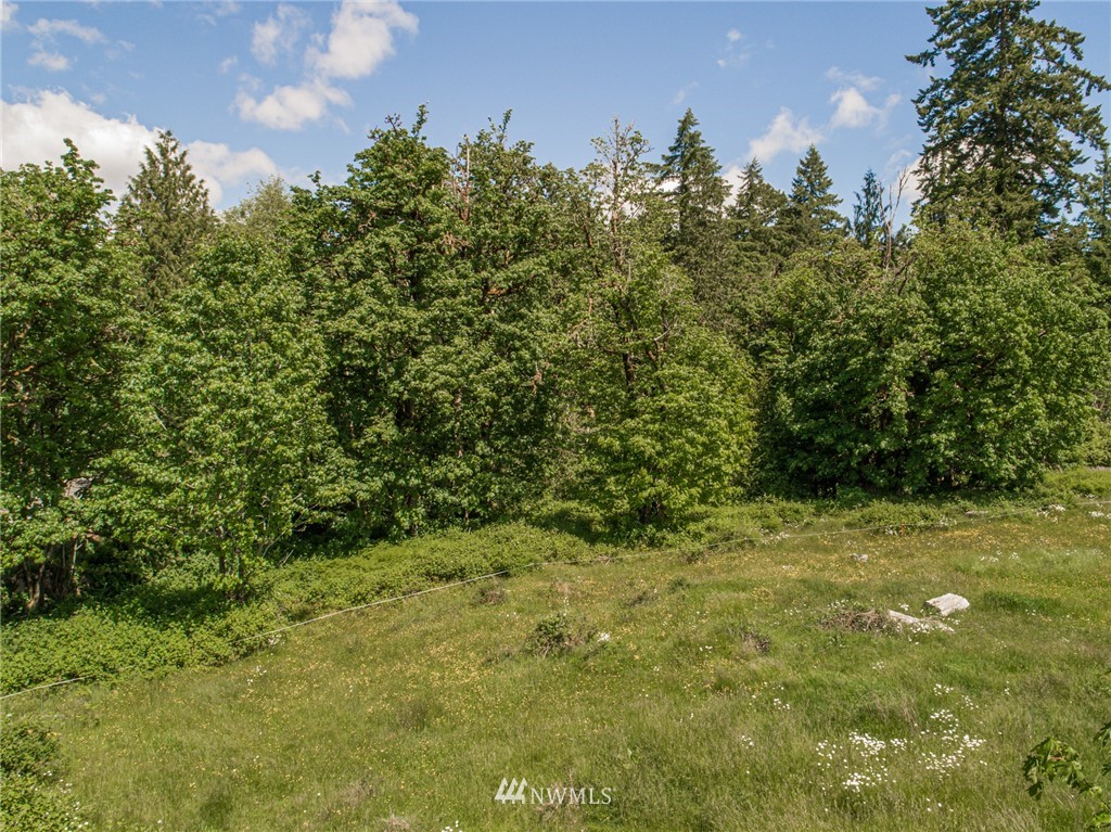 0 Rose Valley Loop Road Kelso, WA 98626 - Photo 4 of 10 Gallery Image 4