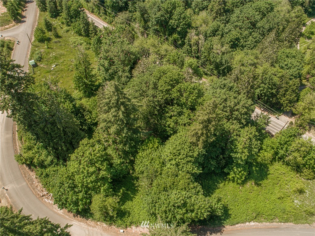 0 Rose Valley Loop Road Kelso, WA 98626 - Photo 6 of 10 Gallery Image 6
