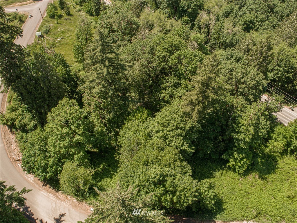0 Rose Valley Loop Road Kelso, WA 98626 - Photo 7 of 10 Gallery Image 7