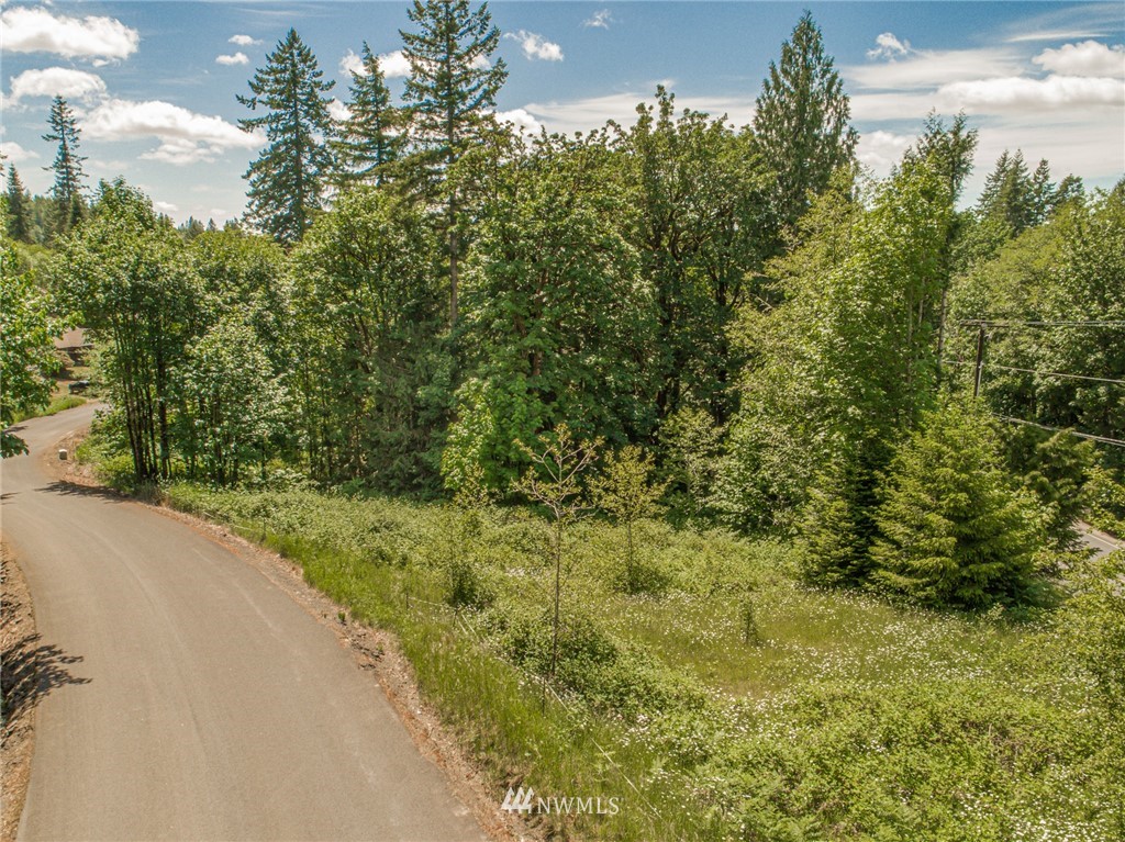 0 Rose Valley Loop Road Kelso, WA 98626 - Photo 10 of 10 Gallery Image 10