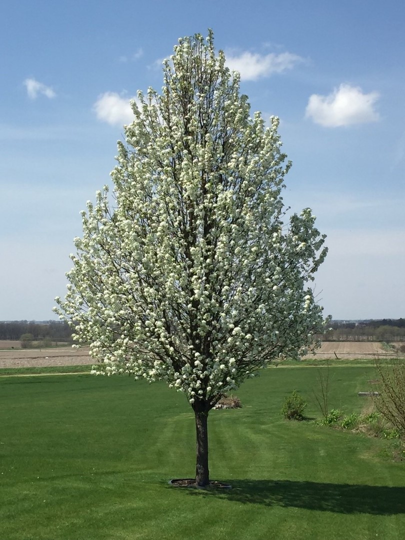 9299 Lee Hill Road Newark, IL 60541 - Photo 53 of 53 Gallery Image 53
