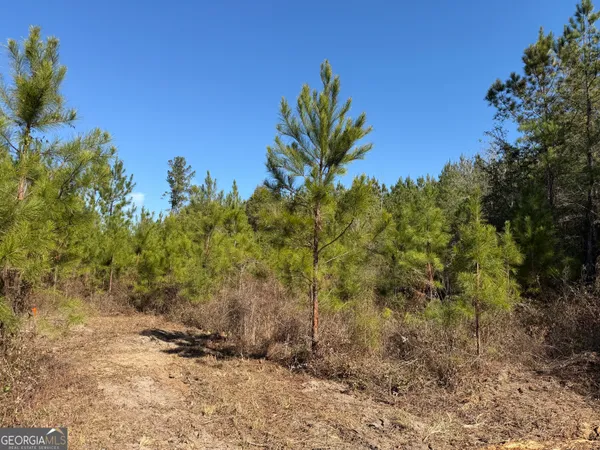 $140,064 | 8 Sealy Wells Road, Gordon, AL 36343