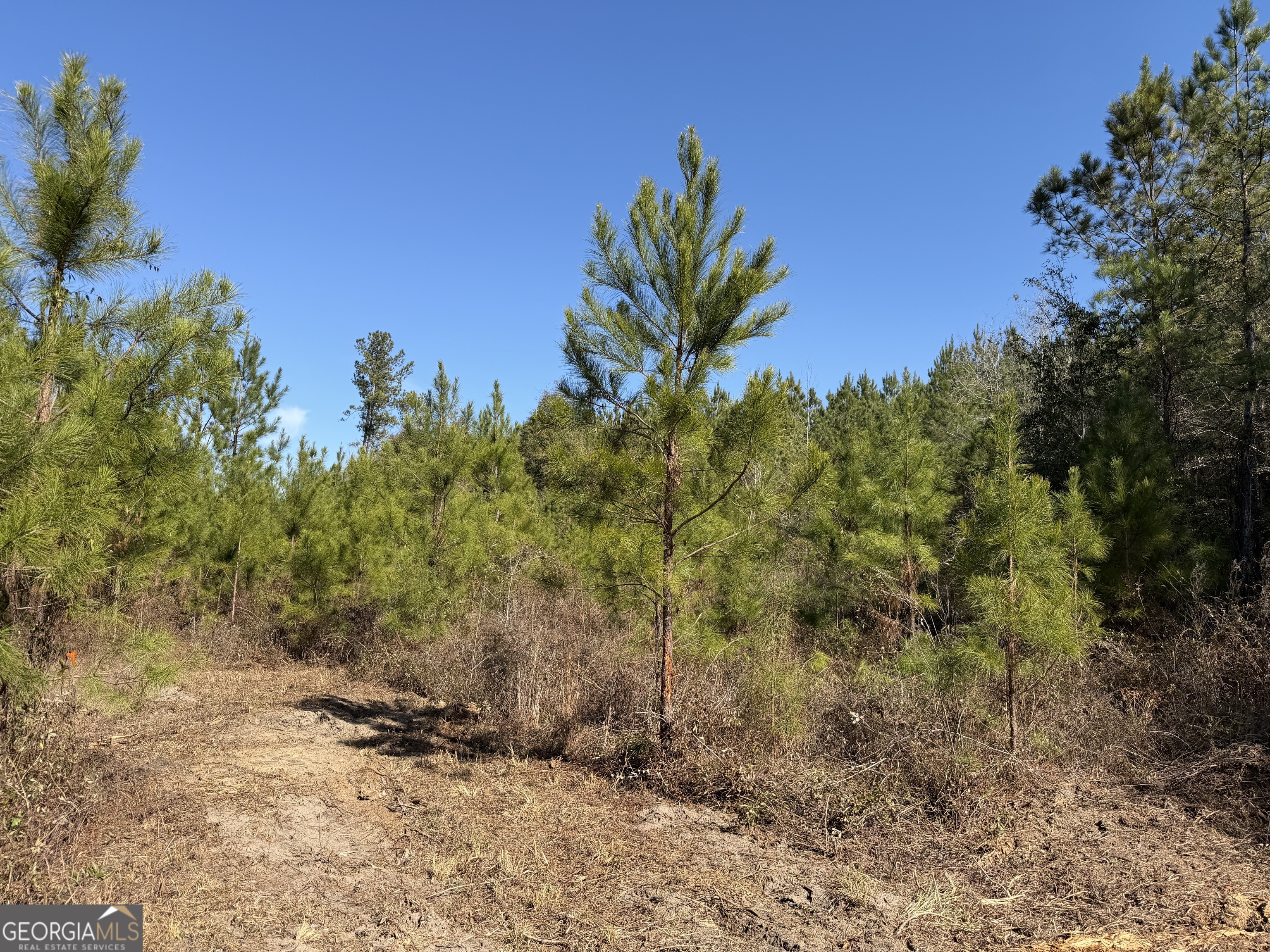 8 Sealy Wells Road Gordon, AL 36343 - Photo 1 of 10