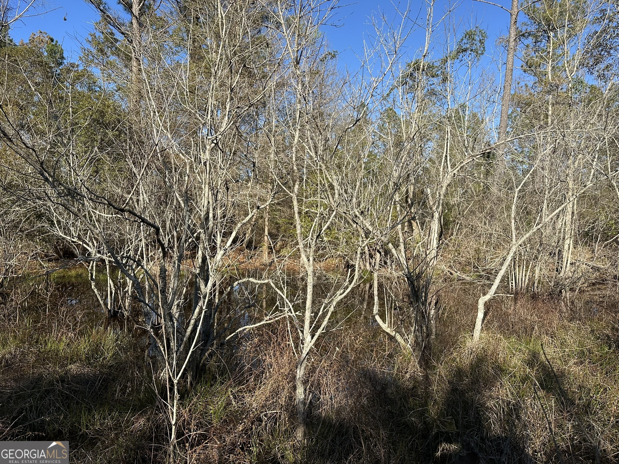 8 Sealy Wells Road Gordon, AL 36343 - Photo 4 of 10