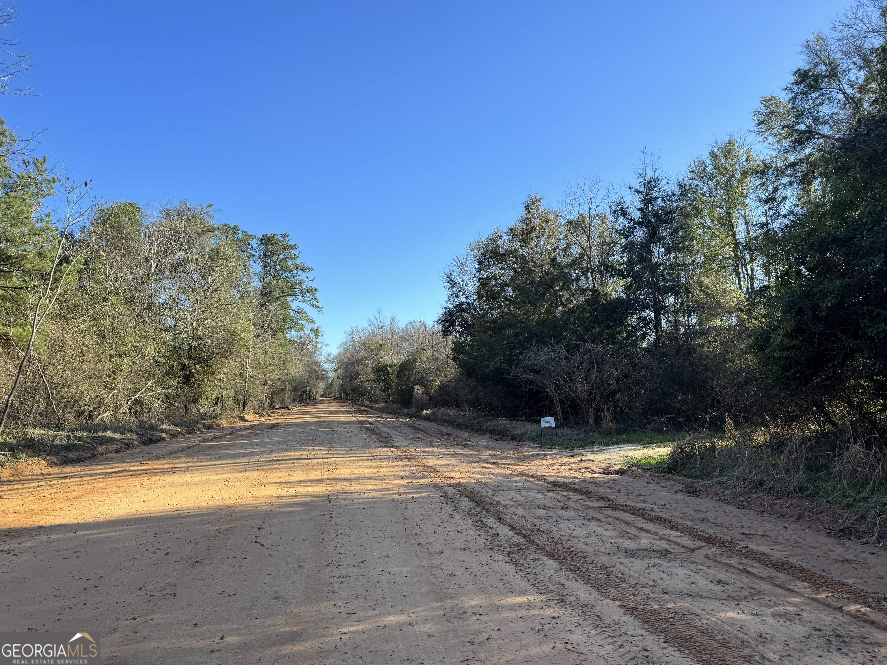 8 Sealy Wells Road Gordon, AL 36343 - Photo 5 of 10