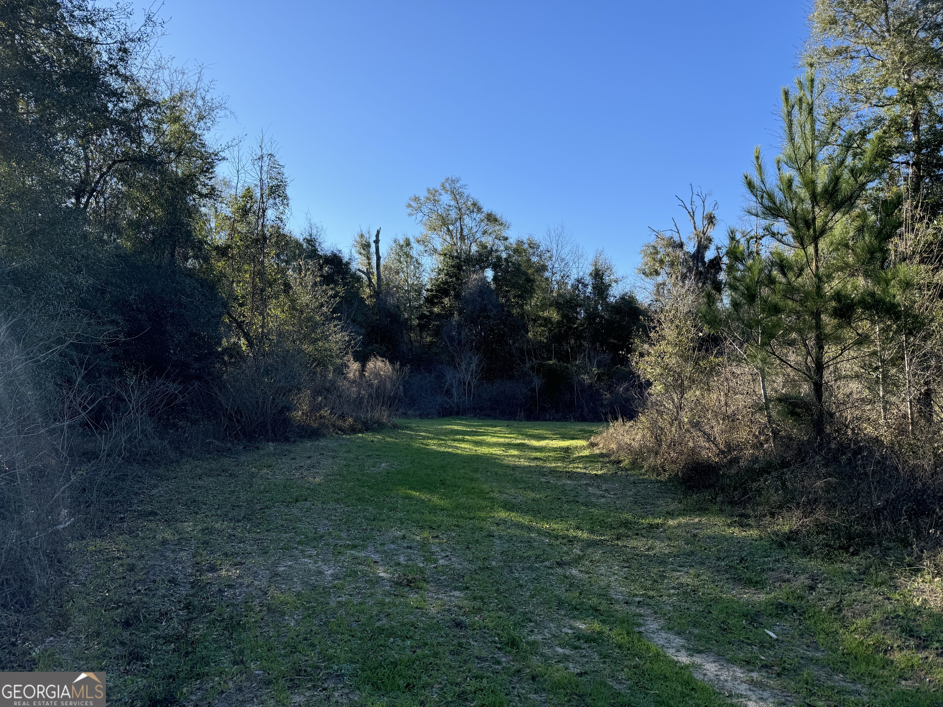 8 Sealy Wells Road Gordon, AL 36343 - Photo 6 of 10