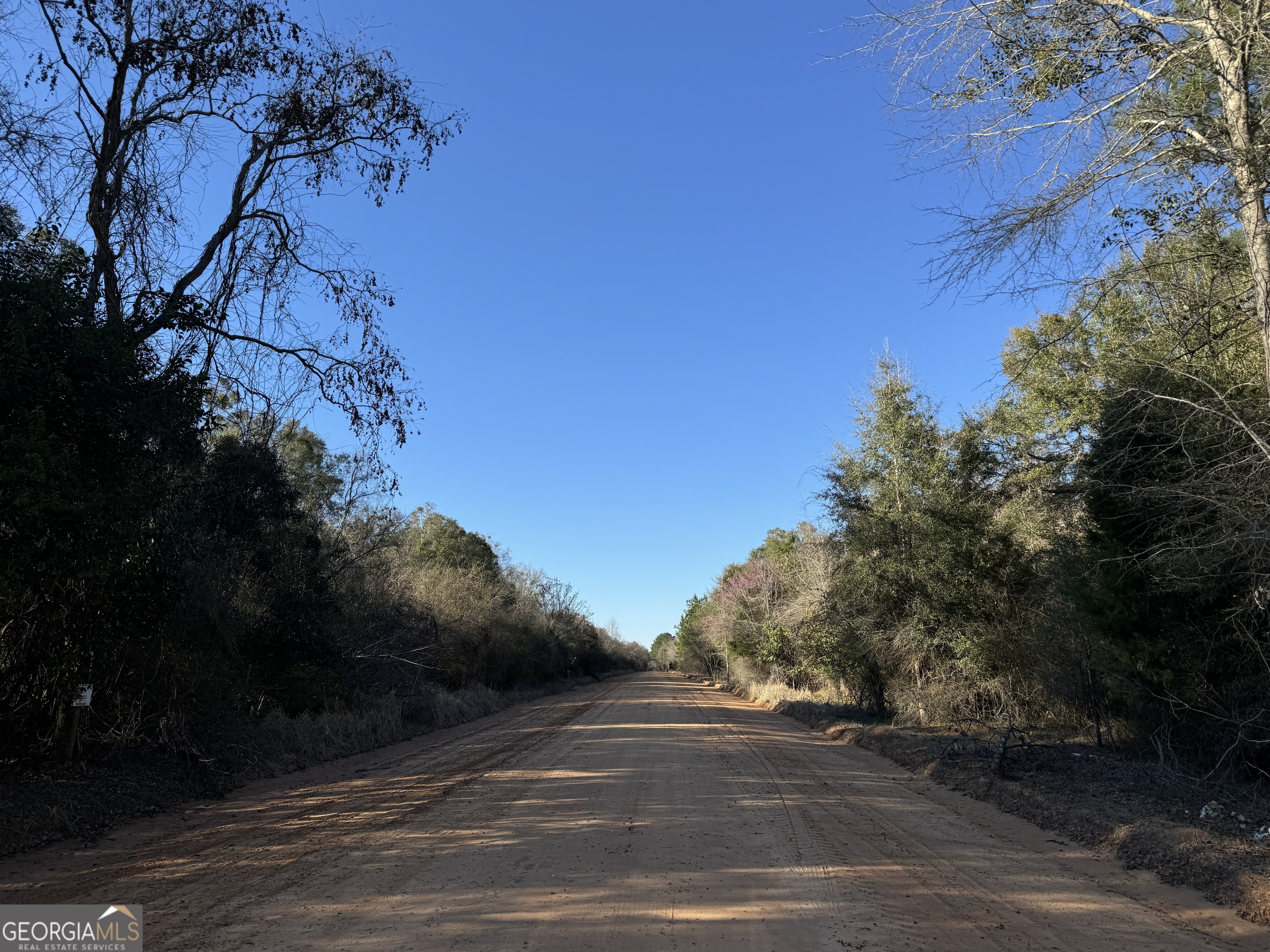 8 Sealy Wells Road Gordon, AL 36343 - Photo 8 of 10