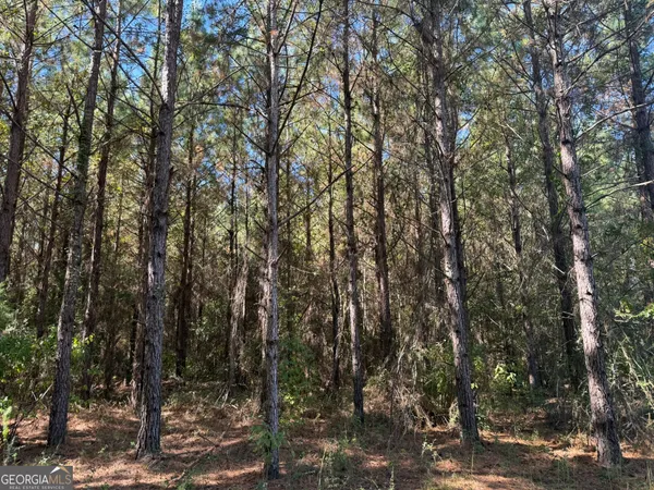 $140,064 | 8 Sealy Wells Road, Gordon, AL 36343