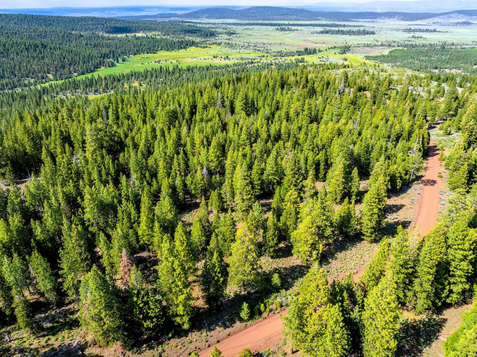 9454 Ridge Road Alturas, CA 96101 - Photo 12 of 18 a view of a field with a lush green forest