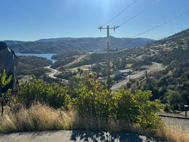 a view of a lush green yard