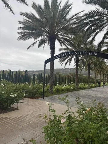 a view of a lake with a mountain in the background