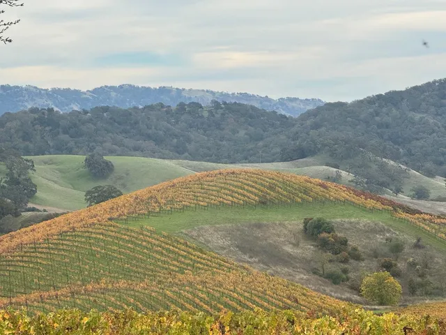a view of outdoor space deck and patio