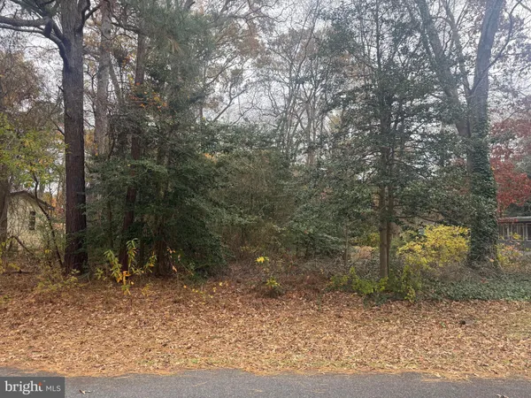 a view of a forest