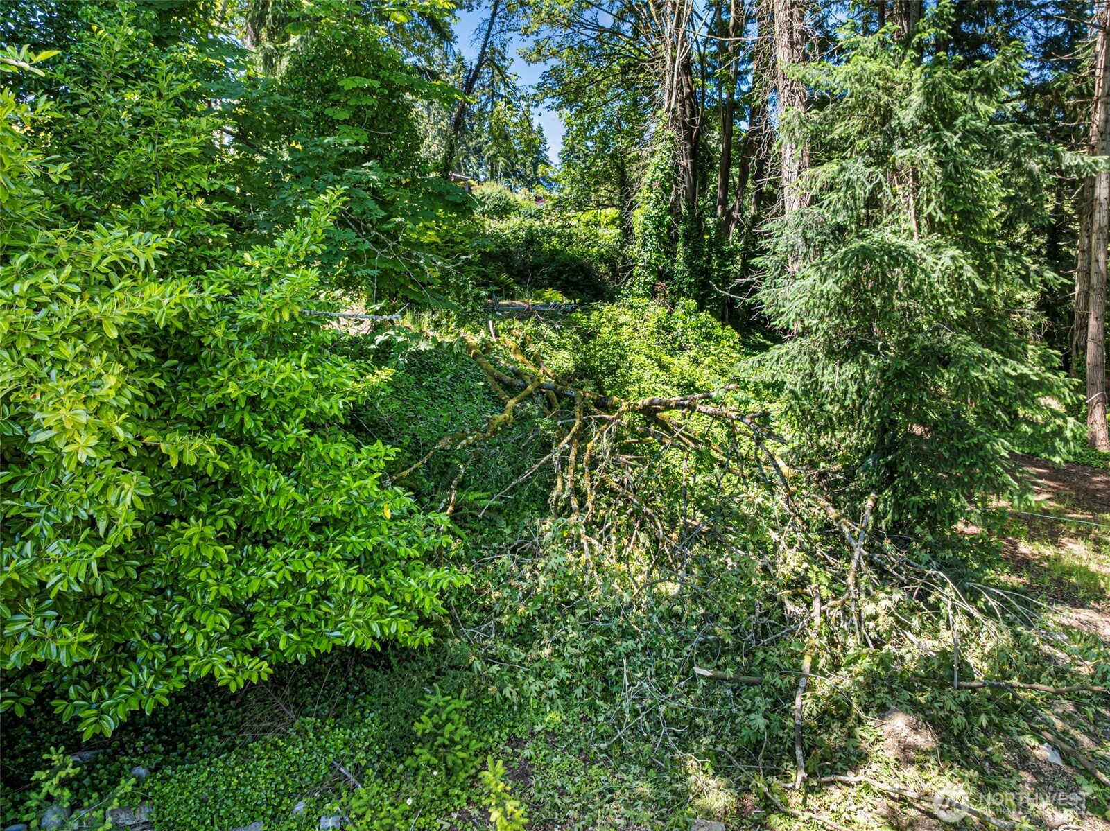 14447 Crescent Valley Road Southeast Olalla, WA 98359 - Photo 3 of 16
