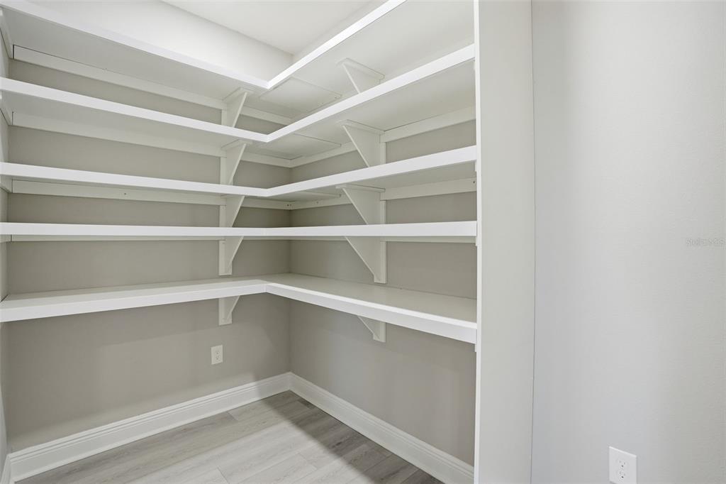 9667 Pantera Loop Weeki Wachee, FL 34613 - Photo 42 of 78