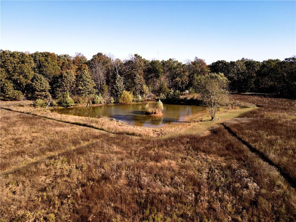 2055 East 335th Road Half Way, MO 65663 - Photo 70 of 99 Gallery Image 70