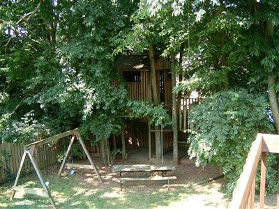 2016 St Stephens Green Lexington, KY 40503 - Photo 5 of 18 Great tree house!