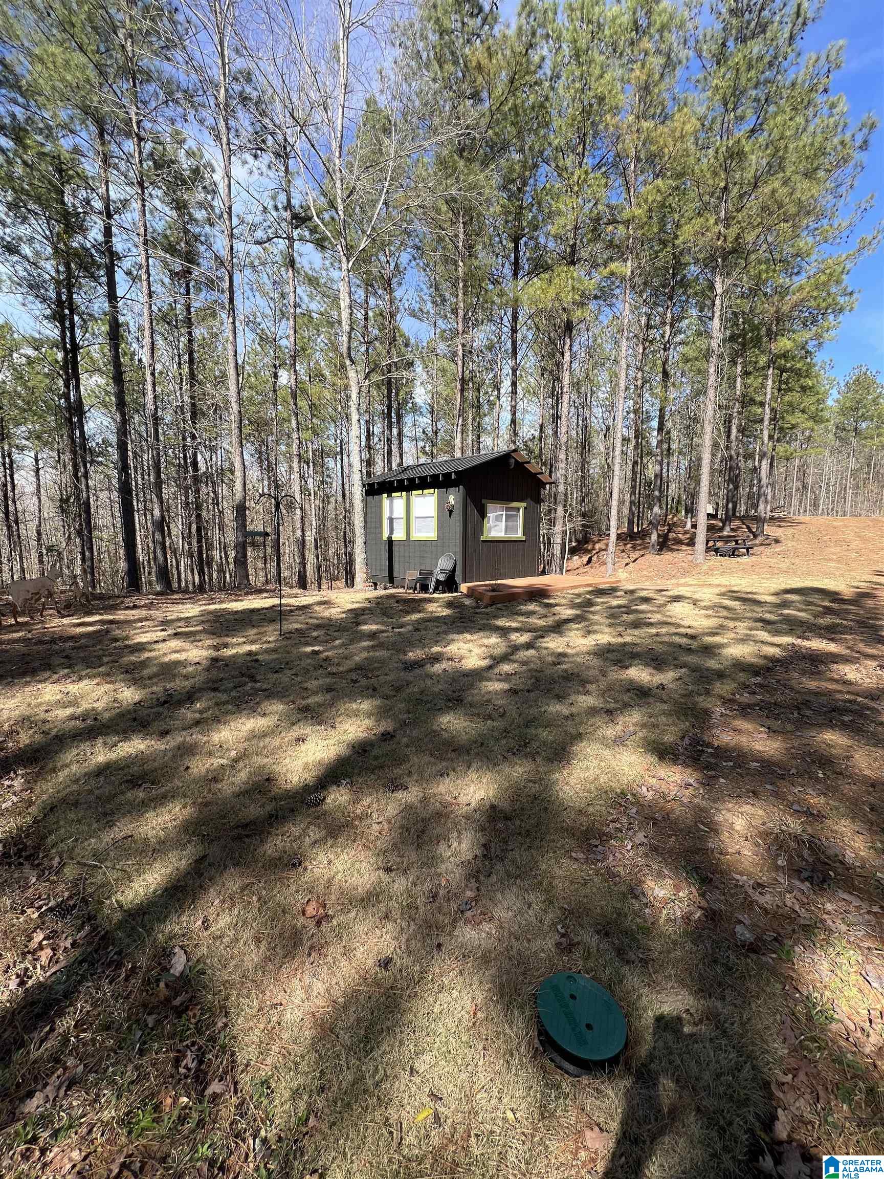 780 Sweet Apple Road, Unit 1 Pell City, AL 35128 - Photo 5 of 9