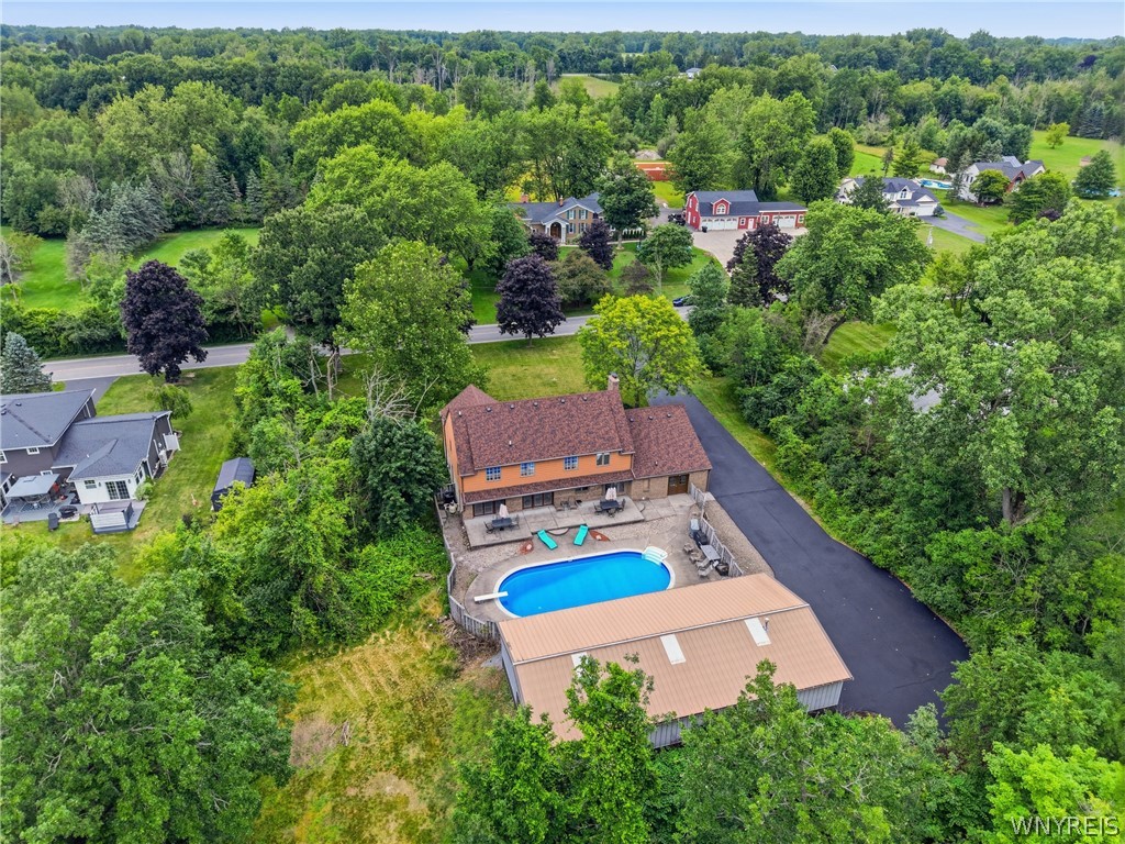 51 Schlemmer Road Lancaster, NY 14086 - Photo 43 of 43