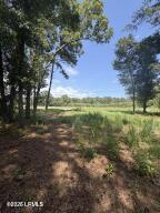 190 Paige Point Road Seabrook, SC 29940 - Photo 2 of 11 20260713145956245346000000