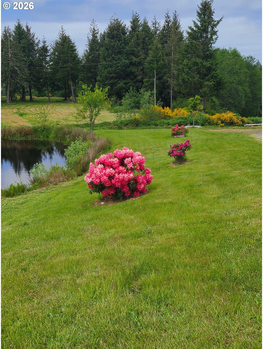 89375 Logan Road Astoria, OR 97103 - Photo 38 of 47 Gallery Image 38