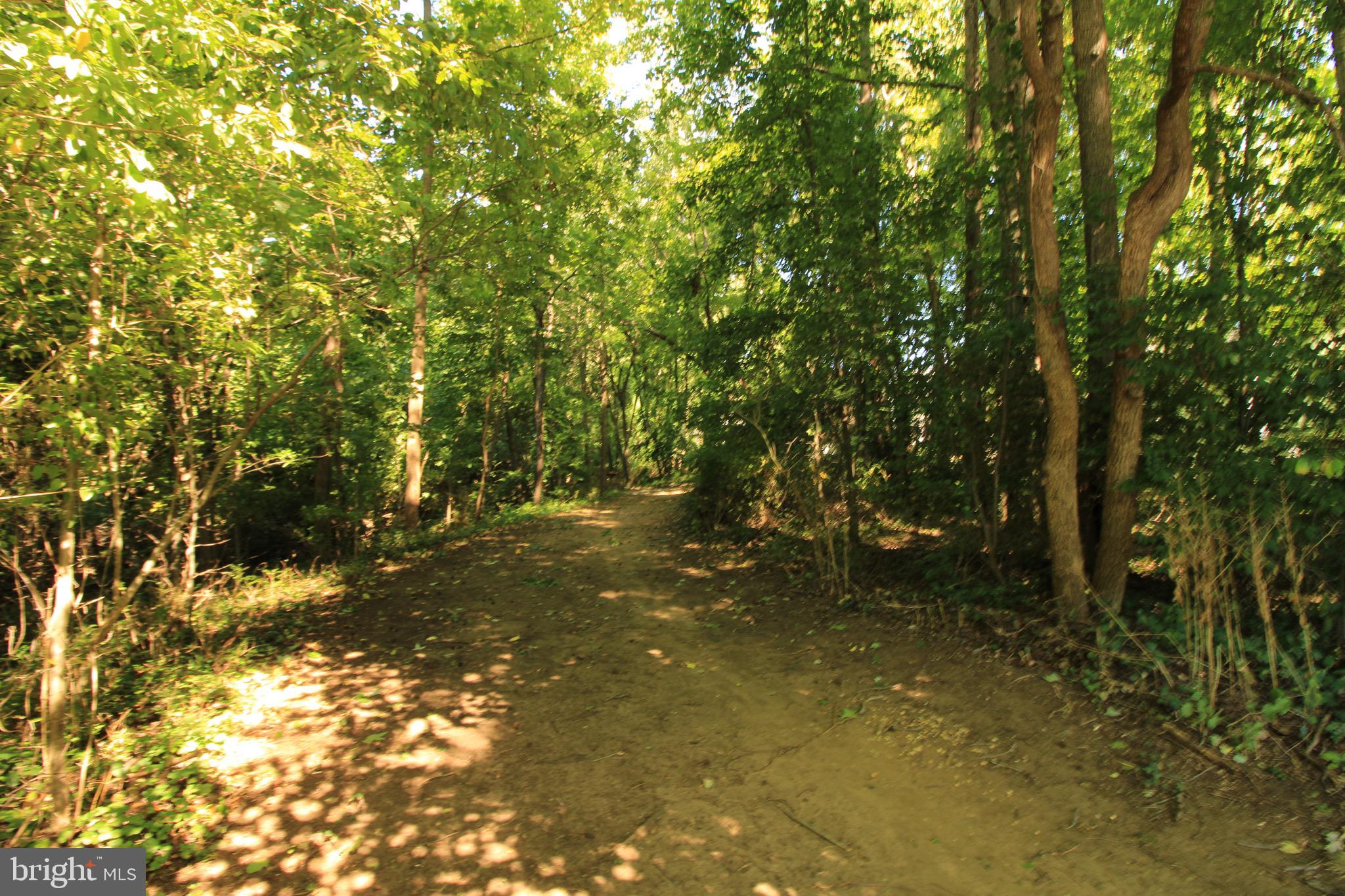 301 Saddle Ridge Road Annapolis, MD 21403 - Photo 43 of 47 Community trail head from Community pool.