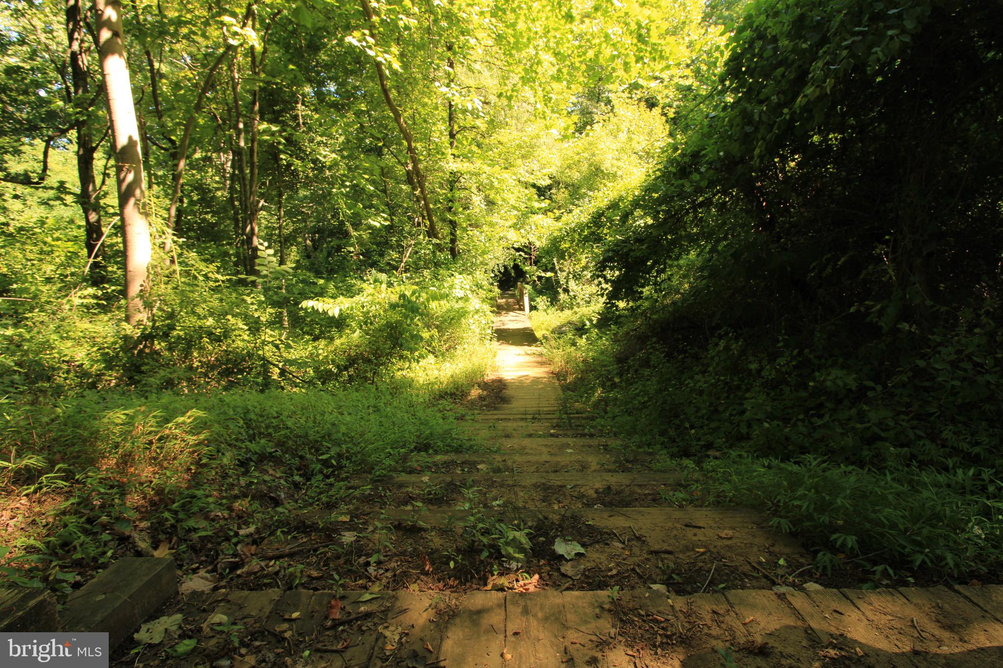 301 Saddle Ridge Road Annapolis, MD 21403 - Photo 45 of 47 Community trail stairs to bridge.
