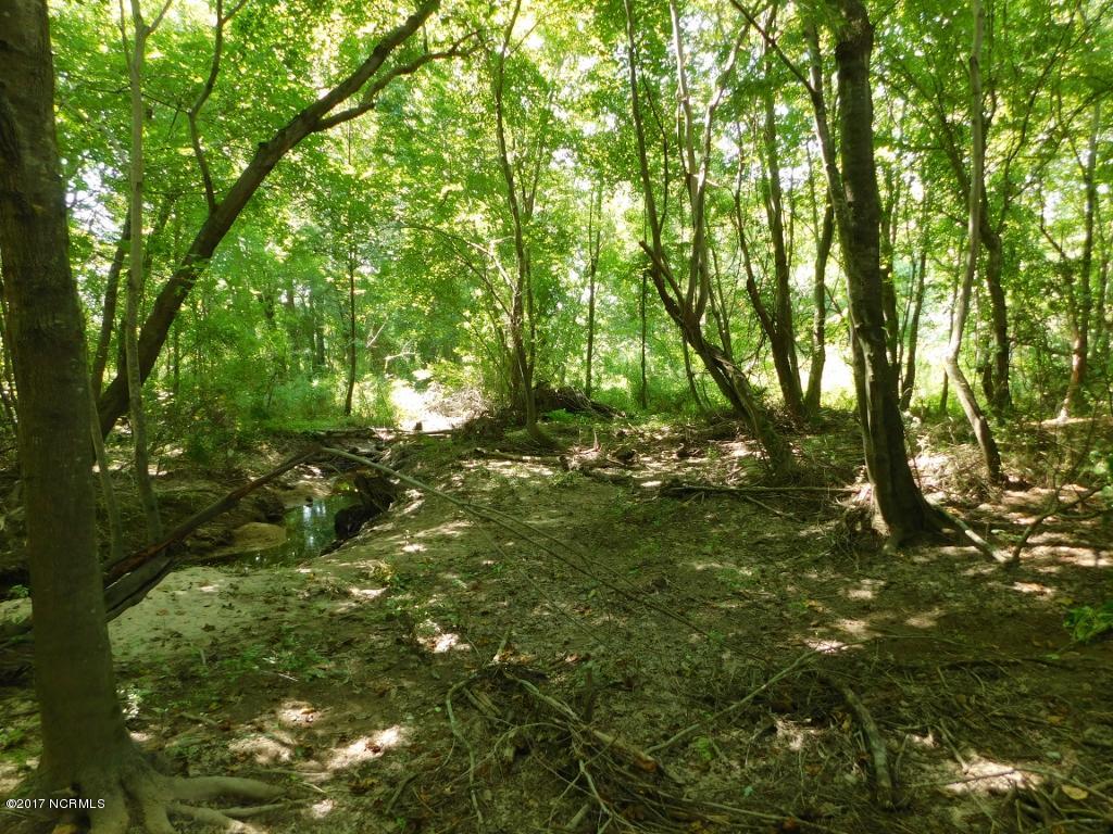 128.25 Ac Off Alton Road Lucama, NC 27851 - Photo 44 of 48 40 (1024x768)