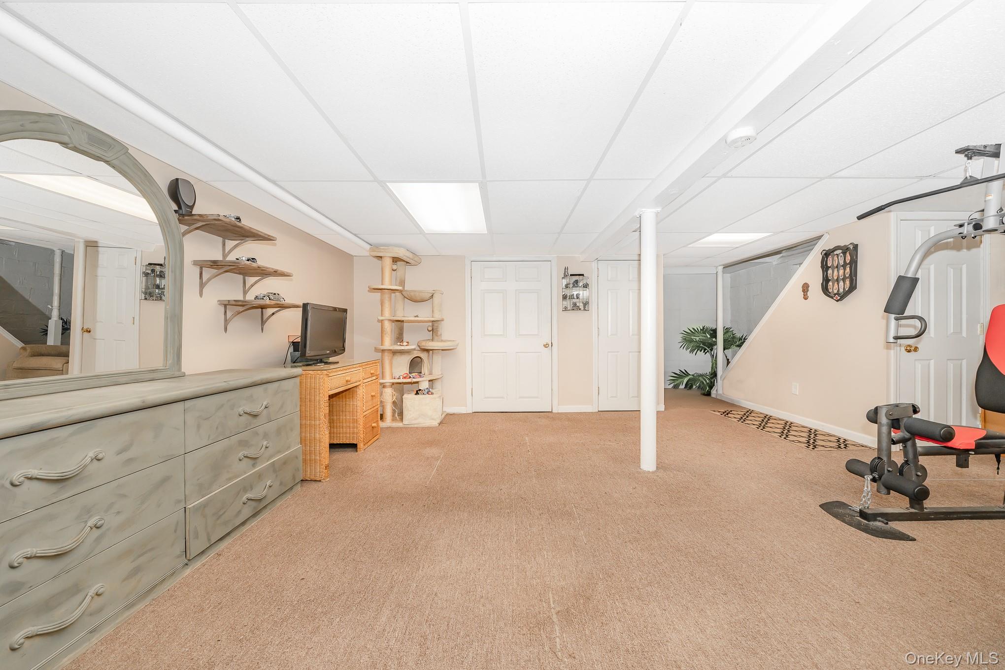 25 Old Mill Road Merrick, NY 11566 - Photo 17 of 19 Full Finished Basement