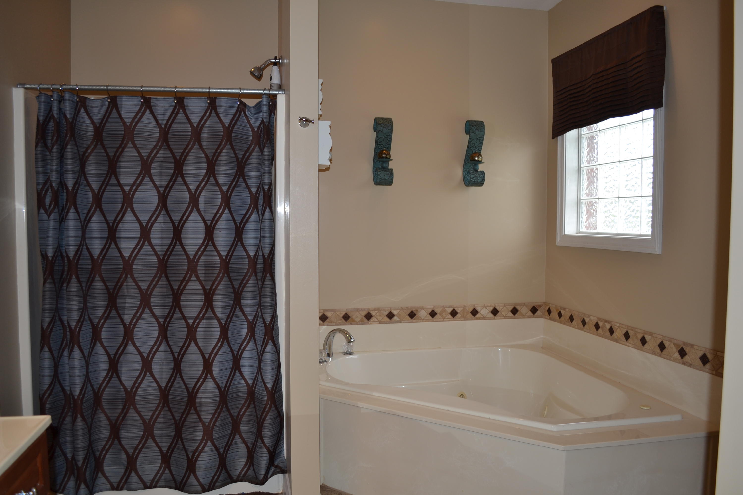 3244 Sam James Road Maryville, TN 37803 - Photo 20 of 32 Separate shower & jetted tub