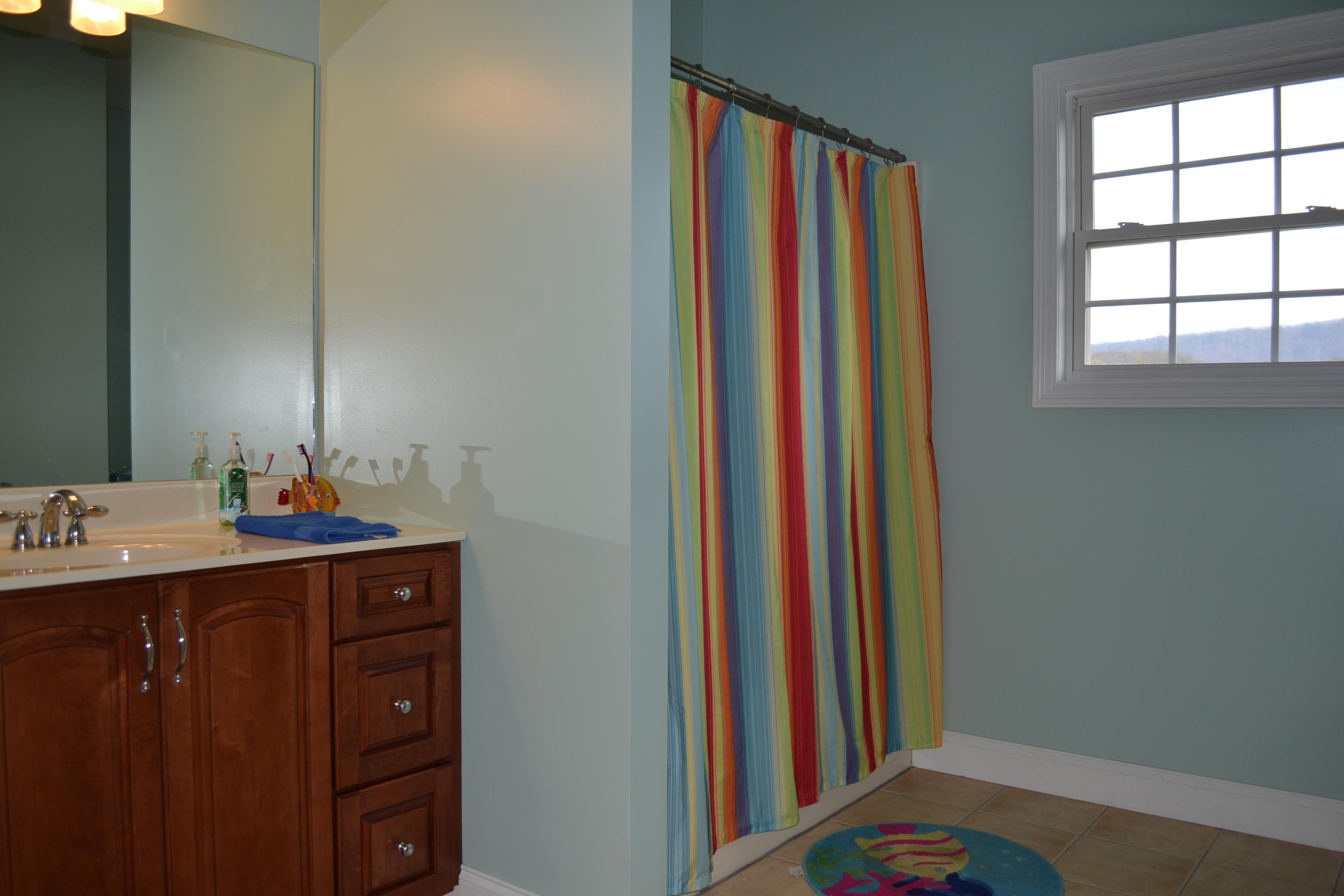 3244 Sam James Road Maryville, TN 37803 - Photo 25 of 32 Full Bath 2