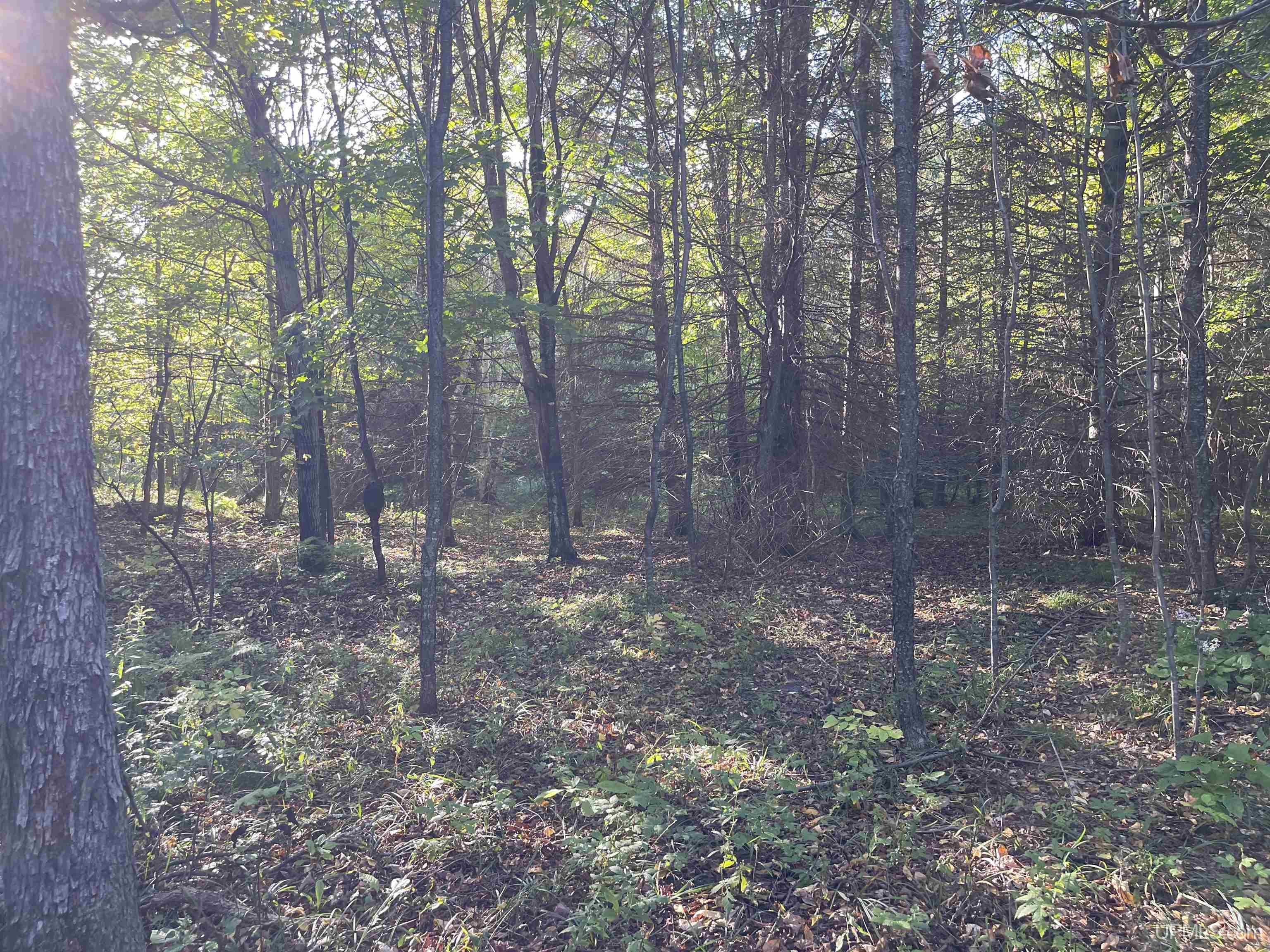 40-acres County Pit Road, Unit PARCEL #4 Manistique, MI 49854 - Photo 26 of 41 Gallery Image 26
