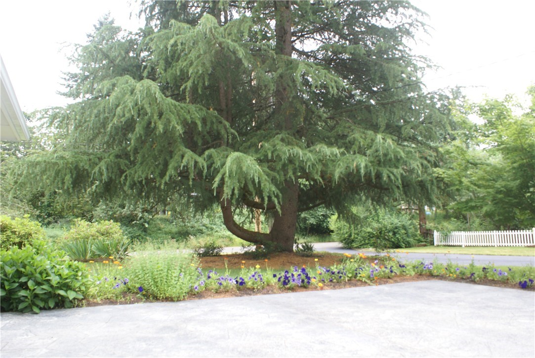 8309 Phillips Road Southwest Lakewood, WA 98498 - Photo 13 of 14 Gallery Image 13