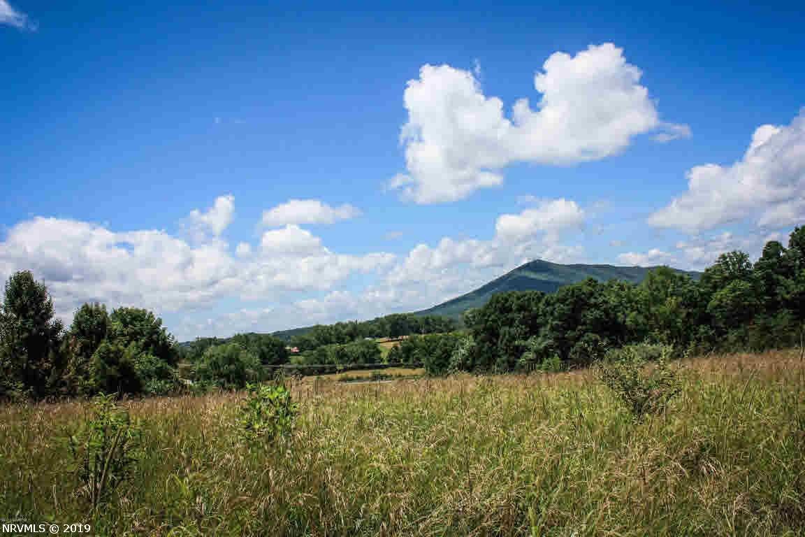 Lot 40 Hurston Road Pulaski, VA 24301 - Photo 3 of 29 Gallery Image 3
